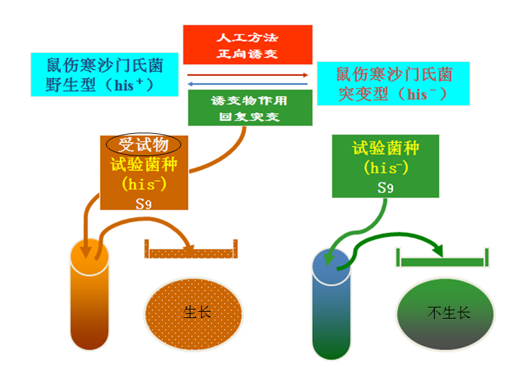 微信图片_20190718110516